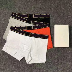 M-2XL Designer Märke Mens Boxer Boror Män underbyxor 100%bomulls andning 6 stycken/låda sexiga bekväma underkläder