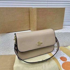 Designer Bag Luxury C Women's Underarm Bag Single Shoulder Oblique Cross Small Square Bag Postman Gold Bag Factory PromotionX6OW