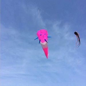 Kite Accessoires Großer Drachen Windsocks Kite Schwänze Ripstop Nylon Stoff aufblasbare Kite -Zubehör 3d Drachen Anhänger Kite Trilobiten