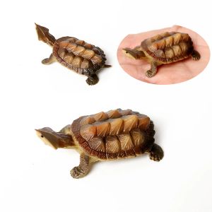 Modelo de Tartaruga marítima Oceano de Plástico, Modelo de Ciclo de Crescimento da Tartaruga Única Figura Figura Répteis Favory Favorations Toys Toys