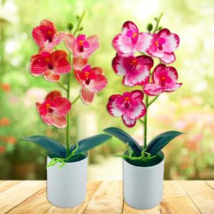 Fiori decorativi anti-fade fantasia elegante bellissima orchidea finta 5 teste fiore di seta senza irrigazione