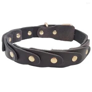 Colarinhos de cachorro Real couro ajustável Genuine Puppy Collar Craved Rivet para pequenos animais de estimação médios grandes