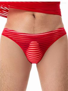 Underpants Sexy Stripe Panties Men's Transparent Briefs Gay Underwear Sheer Breathable Exotic Lingerie In Now Man Clothing