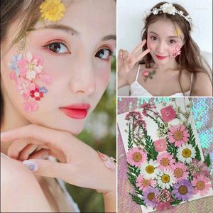 Decorative Flowers Behogar Color DIY Preserved Mini Small Dried Pressed Scrapbooking Dry Decoration Face Home Phone Craft Accessories