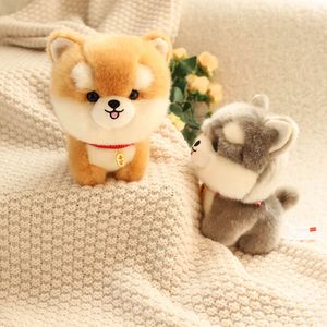 Compleanno cucciolo carino cucciolo husky corgi simulazione animale bambola peluche per bambini regalo