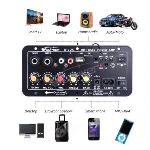 Woopker D10 Bluetooth Audio Amplifier Board 120W Subwoofer Dual Microphone amp-modul för 4 ohm 8-12 i högtalaren 12/24V 100-240V