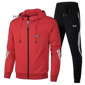 Studi per uomini 2024 uomini con cappuccio maschile e pantaloni da jogging a maniche lunghe Bunny Streetwear 758 651