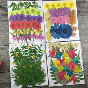 Dekorative Blumen gemischte getrocknete Blütenblattblätter Pflanzen Herbarium für Schmuck Postkarte PO Rahmen Telefon Hülle DIY 4 Designs machen