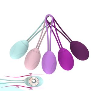 Sfera kegel intelligente Dumbbell vaginale Kegel Ben Wa Ball Vibrator Egg Allenamento vaginale Prodotti per giocattoli sportivi da donna 5 pezzi/set 240516