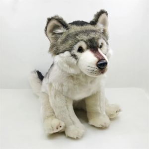 Coyote Animation Cute Grey Wolf Plush Dog Plush Toy Life Animal Simulation Fill Doll Kawai Toy Childrens Gift 240522