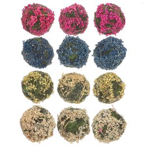 Dekoratif çiçekler 12 adet kurutulmuş toplar el sanatları dekor doğal mikro alan korumalı