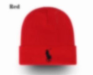 Ny designdesigner Beanie Classic Letter Sticked Bonnet Caps Olo för män Kvinnor Autumn Winter Warm Thick Wool Brodery Cold Hat Par Fashion Street Hats P9