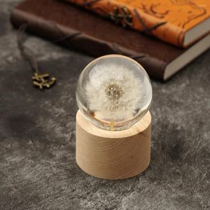Decorative Flowers Real Dandelion Crystal Ball Glass Resin Home Decorating Dried Small Ornament Natural Plants Specimen Gift