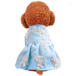 Vestidos de vestuário de cachorro Lace vintage Blue Check Dress Fit Small Puppy Pet Cat All Seasons Salia de roupa de fantasia fofa