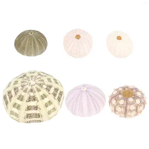 Vases 6 Pcs Shell Conch Sea Urchin Decors Ornaments Aquarium Landscape Small Hanging Planters Desktop Natural Home Stand