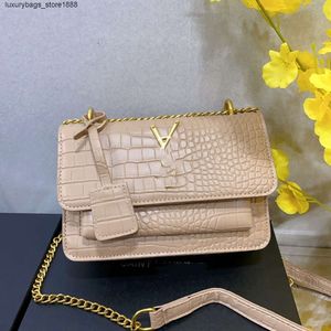 Luxury Handbag Designer Women's Bag Classic Chain Small Square Bag Fashion Retro All-In-One Crossbody Bag 45ea