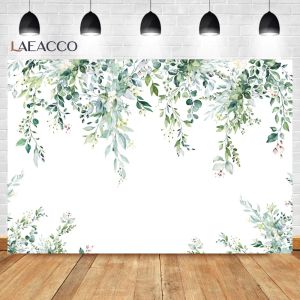 Laeacco Greenery Photography Файмоп Spring Green Eucalyptus Leaves ветви свадебный день рождения настраиваемый портретный фон