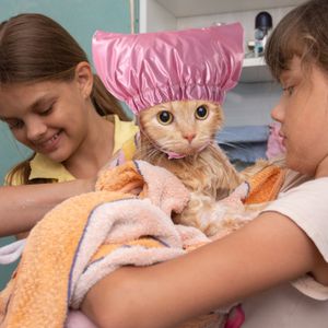 Cat Shower Cap Waterproof Universal Pet Hat for Bath Dog Prysznic Wygodne regulowane kota czapki zapasy dla zwierząt domowych