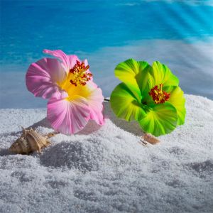 11st 6,3 tum stora hibiskusskum Flower Hårhår Hula Dancer Headwear Luau Beach Wedding Hawaiian Party Hair Accessories