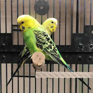 Andere Vogelversorgungen Käfigspielzeuge Platz für Sittichepapagei kleine Stand Cockatiel Cages Cockatiels Holz Vogelkäse