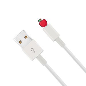 iPhone-datalinjen snabb laddning Android typ-C nätsladd iPad iPod Fast Charger Cable