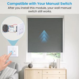 Loratap Wifi Curtain Switch con ESP 8285 Chip Google Tuya Smart Life App REMOTE VOCE CONTROLLO DI Home Alexa Electric