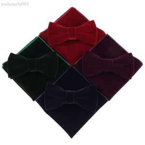 Veet Bow ties handkerchers set 9 colors 12*6cm Adjust the buckle solid color bowknot Occupational bowtie for Christmas Gift Free FEDEX UPS 6d40