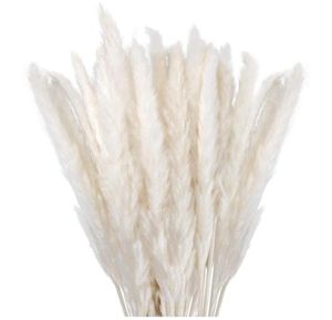 Декоративные цветы венки сухожили пампас травяной декор. Маленький пушистый 30 шт 45 см натуральный белый для вазы цветочный букет.