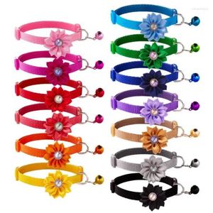 Collari per cani Fashion Pet Collar Floro Colorato Modello Cinetto Bell Regolabile per Cats Cucciolo Accessori fai -da -te