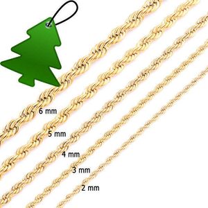 Hochwertige goldene Seilkette Edelstahl Halskette für Frauen Männer Goldene Mode verdrehte Seilketten Schmuck Geschenk 2 3 4 5 6 7mm