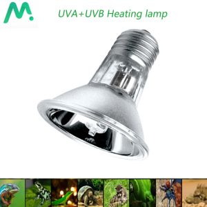 25/50W UVA+UVB 3.0 REPTILE LAMP PET Amfibier Ödlor Uppvärmning av glödlampa Tortoise Basking Lamp E27 Uppvärmning Ljus full spektrum