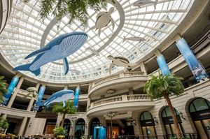 Оптовая оптом 8 м длина голубого гигантского надувного кита с светодиодом для городской декора или партийно -шоу
