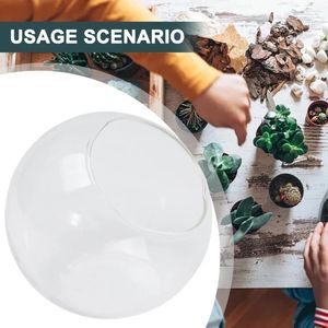 Vasos micro paisagem vaso de vidro suculento planta terrário contêiner vasos de flores transparentes mesas de casamento hidropônicas decors