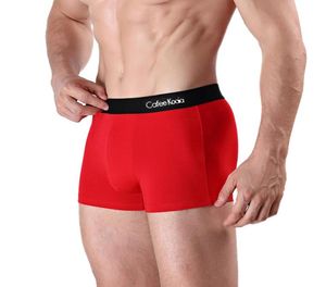 New Style Underwear Mens Boxers Shorts Cotton Underwear Sexy Man Panties Comfortable Gay Underpants Male Boxershorts Soft Underpan3321684
