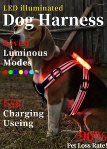 Köpek yakaları parlayan LED kablo demeti tasma usb yaka köpek yavrusu kurşun evcil hayvanlar yok yelek yok