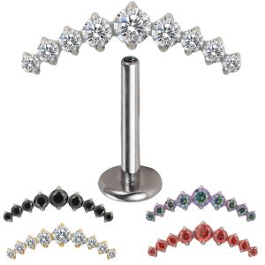 G23 Titanium Ear Pierc Internt Thread 9 Prong CZ Pave Top Ear Rings Brosk Tragusörhängen Lip Stud Helix Piercing Jewelry