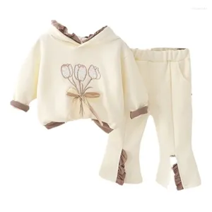 Kläder sätter vårens höst baby kläder passar barn flickor hoodies byxor 2 st/set spädbarn kläder småbarn casual kostym barn spår