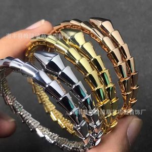 Unik charm bulgarly armband designad för älskare hög ormformade släta kvinnor med highend full diamant isvi