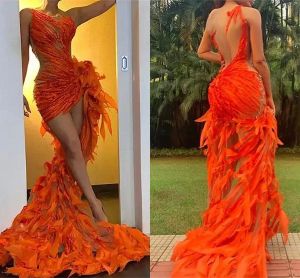 Stunning Orange Mermaid Prom Dresses Sexy Sheer Backless High Low Evening Gowns Illusion Appliques Cocktail Vestidos Formal Occasion Wears BC14878