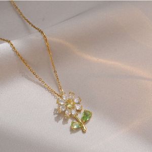 Weibliche Vollzirkonia -Blütenlichttemperament Zirkon Schlüsselbein Kette kleines Ins Mesh Set Titanstahl Halskette