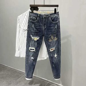 Men's Jeans Tears and tears mens printed jeans broken graphic holes Trousers casual and soft K-pop style regular Gothic bag mens jeans J240527