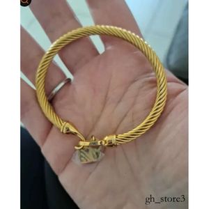 Armband Designer Herren Nagel Tennis Tiffanyjewelry Armband für Mann Frauen Stahl Titan -Armband Fashion Bangel Gold Silber Herz Bracelet Straße Accessoires 835