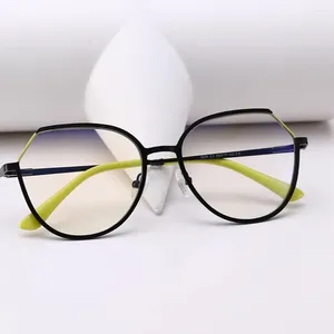 Sunglasses Frames 2024 Trendy Office Computer Glasses Female Anti Blue Light Round Eyewear Fashion Clear Lens Metal Eyeglasses Frame For