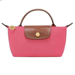 Mini Crossbody Bag Nylon Dumplings Handbag Wear Resistant Lightweight Durable Classic Fashion Luxury Foldable Shoulder Bag