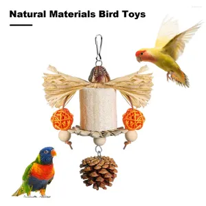 その他の鳥の供給ペットケージプレイアクセサリーオカメラのためのカラフルなおもちゃ天然ヒマワリの葉の松ぼっくり