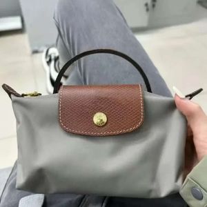 Mini Handbag Fashion Niche Designer Bag Casual Womens New Spring Autumn Attoatile Proseass and Handbags Designer Facs