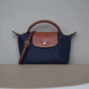 Y2Kファッションニッチデザイナーカジュアルバッグ財布とハンドバッグ女性新しい春秋の汎用ミニハンドバッグ