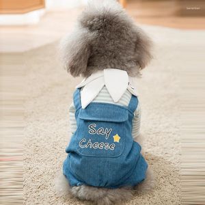 Hundekleidung Denim Kleid Streifen Strickmantel Overalls Haustier Jeans Rock für kleine Welpenkatze Kleidung Chihuahua Teddy Geburtstagskleidung