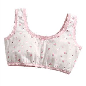 CAMISOLE GRUSHT GRUSH GIRL BRA Cotton Intwear Youth Girl Girl Training Reggiseno traspirante per bambini di alta qualità reggiseno Top Times 130-160 Y240528