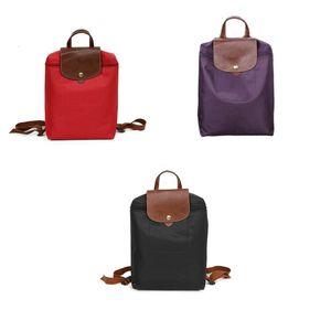 Organiserad ryggsäck för fashionabla resenärer resväskor nylon